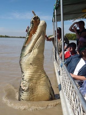 http://www.rumicn.com/uploadfile/2014/0819/20140819041818226.jpg