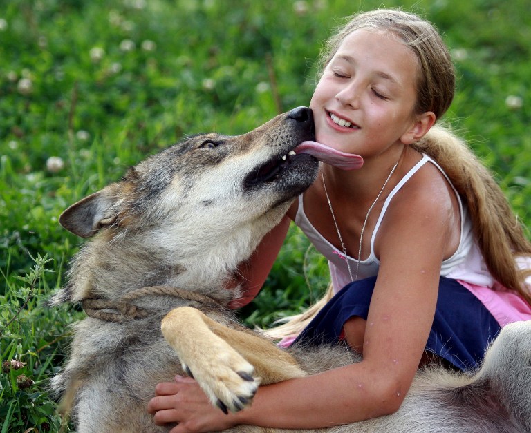 http://www.rumicn.com/uploadfile/2014/0819/20140819042828648.jpg