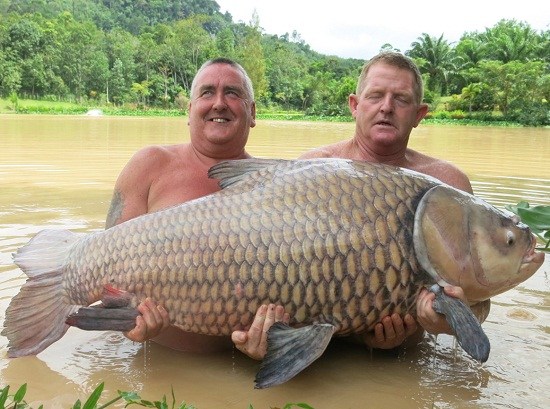 http://www.rumicn.com/uploadfile/2014/0821/20140821040628504.jpg