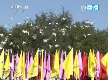http://www.rumicn.com/uploadfile/2014/0903/20140903023541658.jpg