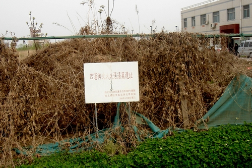 http://www.rumicn.com/uploadfile/2014/0910/20140910113709853.jpg