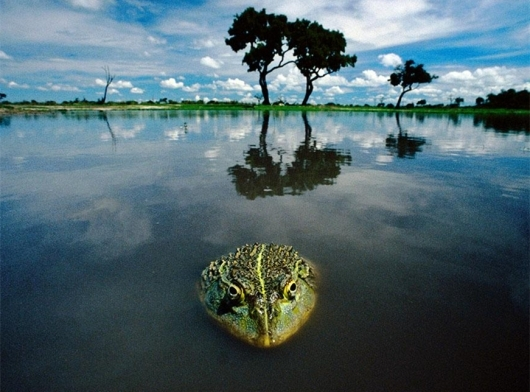 http://www.rumicn.com/uploadfile/2014/1008/20141008103251473.bmp