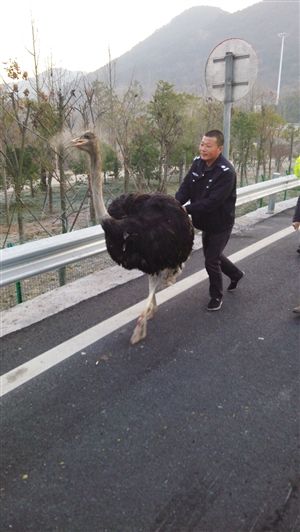 http://www.rumicn.com/uploadfile/2014/1223/20141223100232540.jpg