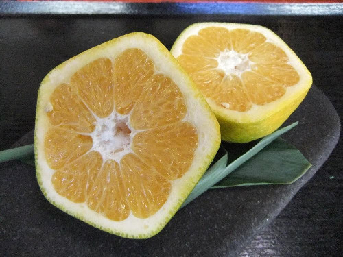 http://www.rumicn.com/uploadfile/2015/0107/20150107104857637.jpg