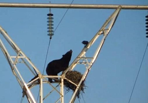 http://www.rumicn.com/uploadfile/2015/0525/20150525035747479.jpg