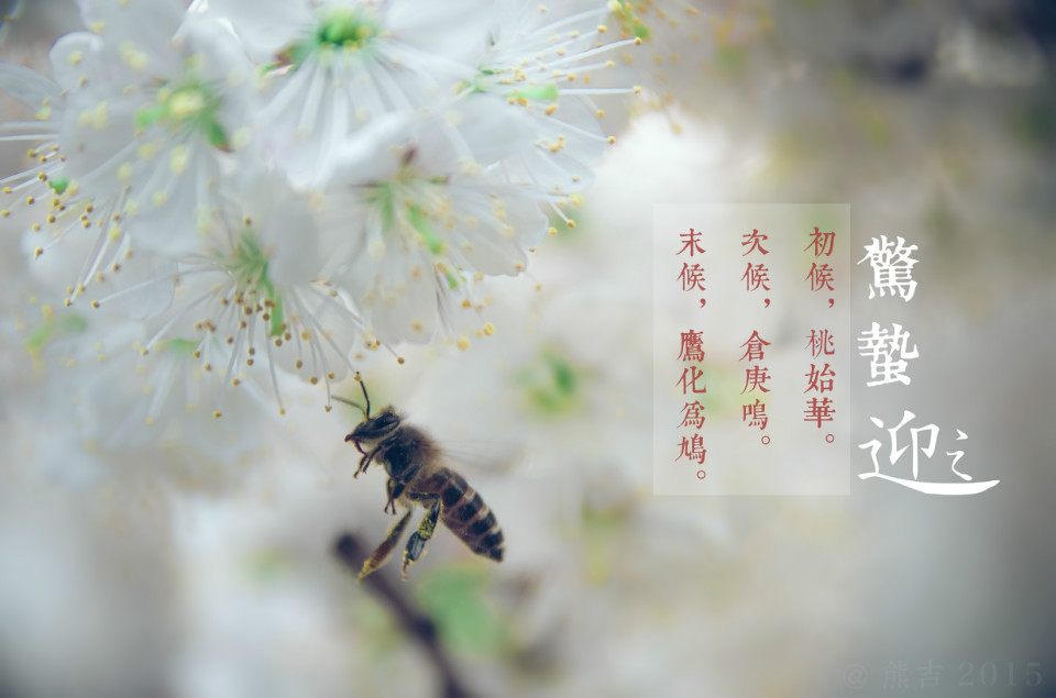 驚蟄吃這5種蔬菜,，養(yǎng)生排毒效果佳