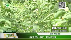 豐收身邊的“果實(shí)”帶動村民致富