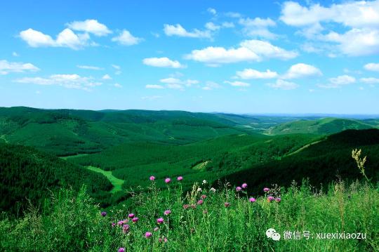 習(xí)總牽掛的塞罕壩,，你去過嗎？小組剛?cè)ミ^,！