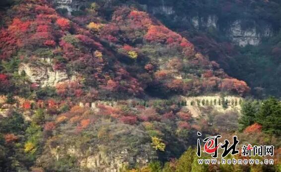 駝梁,、大海陀自然保護(hù)區(qū)建設(shè)項(xiàng)目獲準(zhǔn)立項(xiàng)