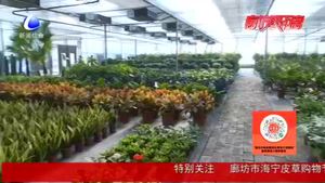 盛世農合生態(tài)農業(yè)園區(qū)：觀賞游玩帶動消費 用鮮花走出致富路
