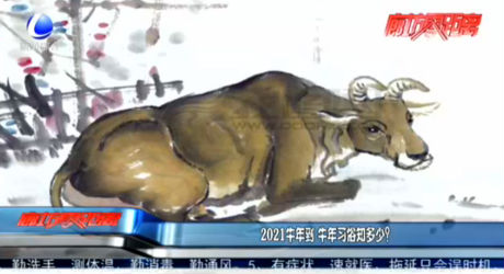 2021牛年到 牛年習(xí)俗知多少,？