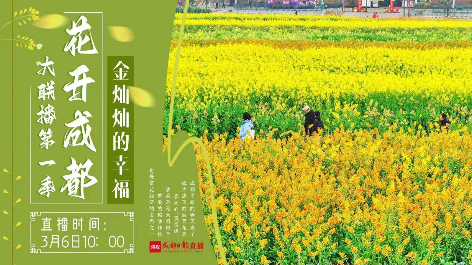 “花開成都”大聯播第一季:金燦燦的幸福