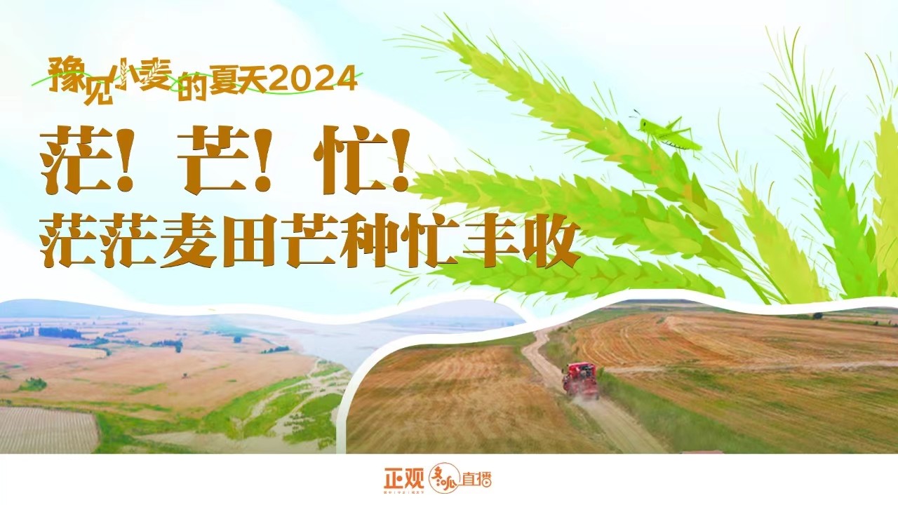 豫見小麥的夏天2024 | 茫,！芒,！忙！茫茫麥田芒種忙豐收,！