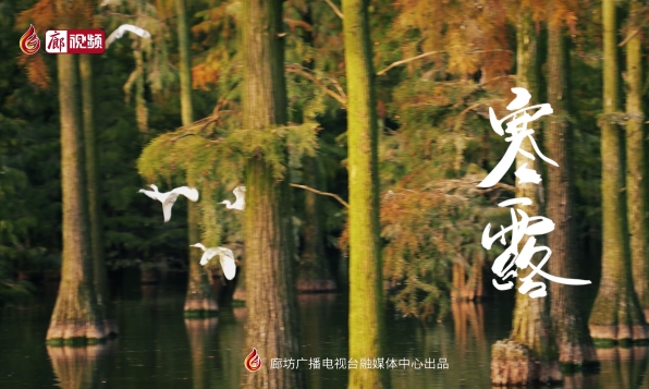 【時(shí)光映畫(huà)·二十四節(jié)氣】寒露
