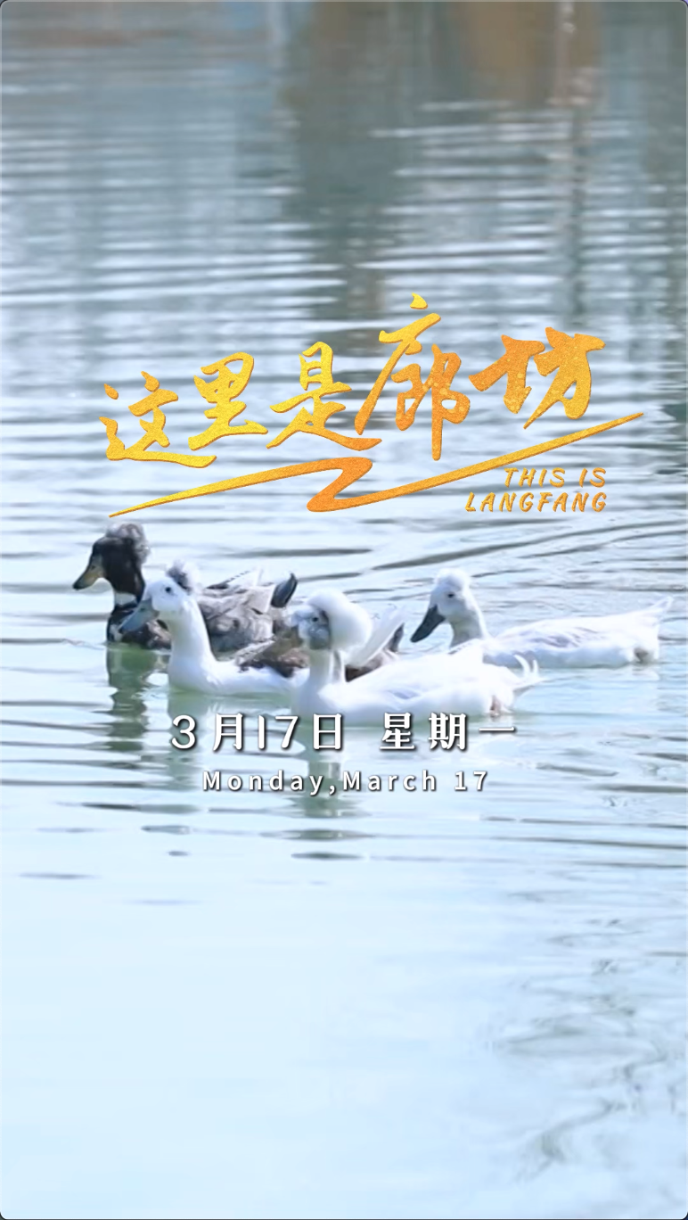 【這里是廊坊】大廠域見頤和健康文化旅游產業(yè)園